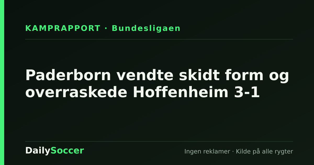 Paderborn vendte skidt form og overraskede Hoffenheim 3-1 — DailySoccer